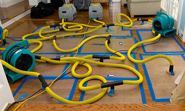 Professional Structural Drying And Dehumidification technician working in Armada, MI